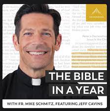 Just finished Fr. Mike Schmitz's Bible in a Year Podcast, and in the words he uses oh so often…”what a gift!” Seriously though! Any recommendations on other studies/etc. to try next? :